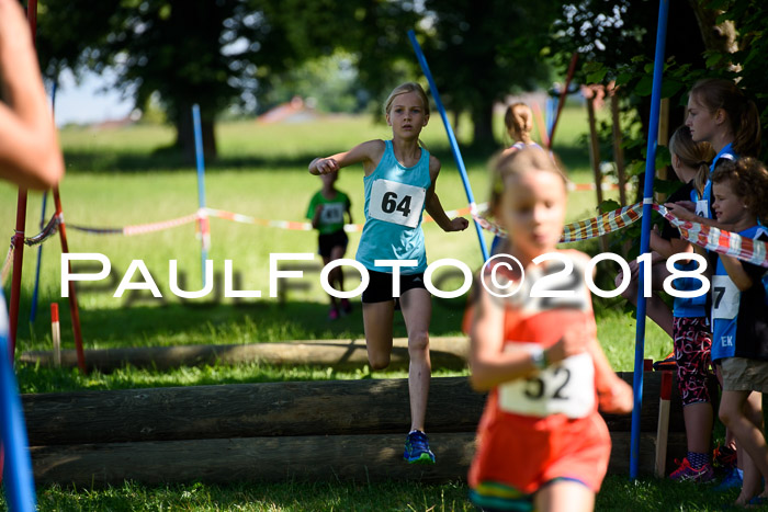 Baira Cross Lauf, 1. Sommercup SGW