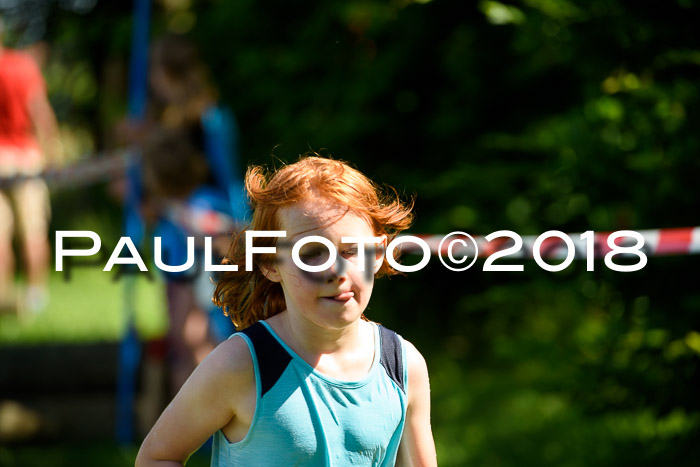 Baira Cross Lauf, 1. Sommercup SGW