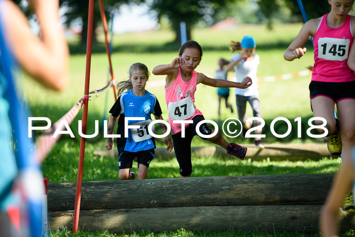 Baira Cross Lauf, 1. Sommercup SGW
