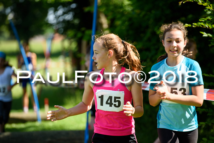 Baira Cross Lauf, 1. Sommercup SGW