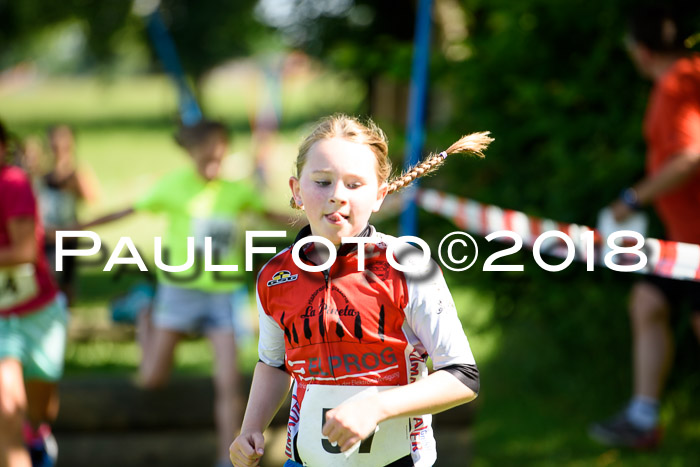 Baira Cross Lauf, 1. Sommercup SGW