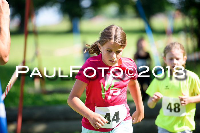 Baira Cross Lauf, 1. Sommercup SGW