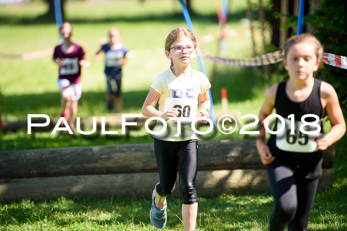 Baira Cross Lauf, 1. Sommercup SGW