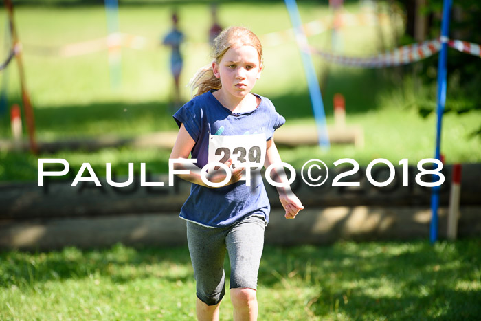 Baira Cross Lauf, 1. Sommercup SGW