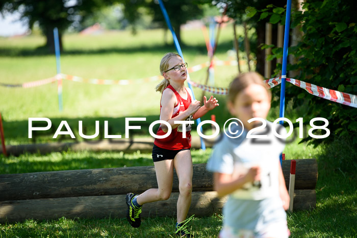 Baira Cross Lauf, 1. Sommercup SGW