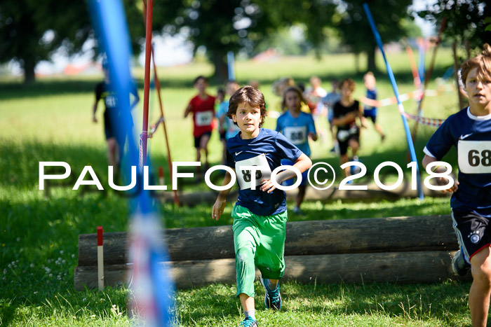 Baira Cross Lauf, 1. Sommercup SGW