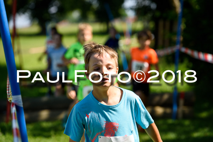Baira Cross Lauf, 1. Sommercup SGW
