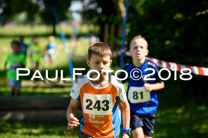 Baira Cross Lauf, 1. Sommercup SGW