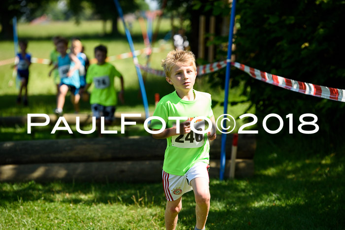 Baira Cross Lauf, 1. Sommercup SGW