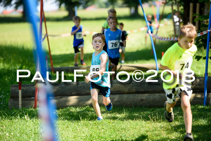 Baira Cross Lauf, 1. Sommercup SGW