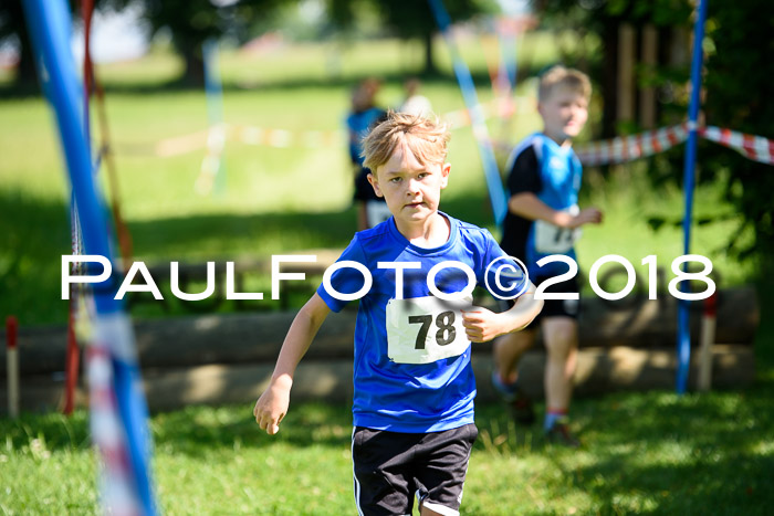 Baira Cross Lauf, 1. Sommercup SGW