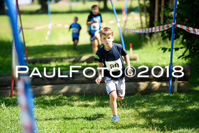 Baira Cross Lauf, 1. Sommercup SGW