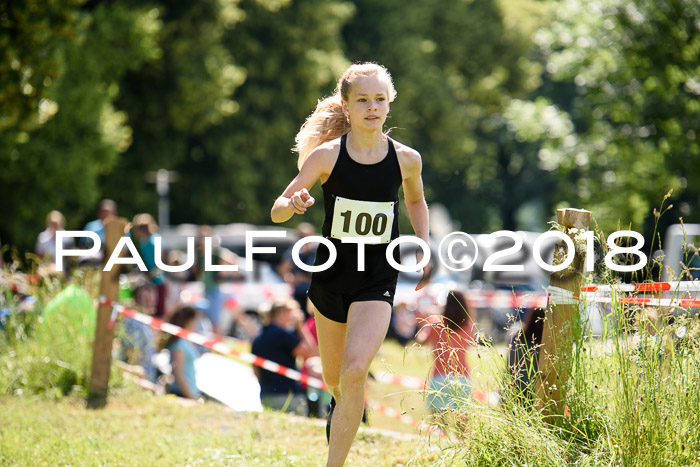 Baira Cross Lauf, 1. Sommercup SGW