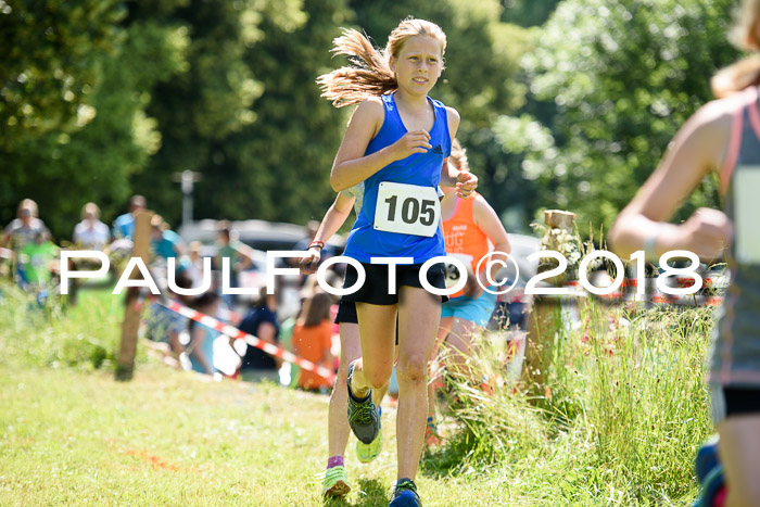 Baira Cross Lauf, 1. Sommercup SGW