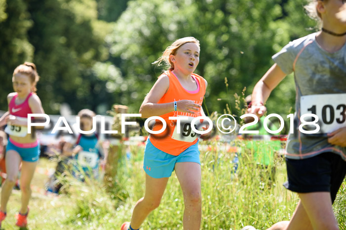 Baira Cross Lauf, 1. Sommercup SGW