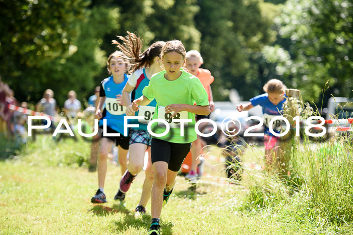Baira Cross Lauf, 1. Sommercup SGW