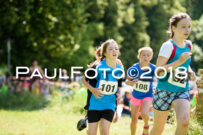 Baira Cross Lauf, 1. Sommercup SGW