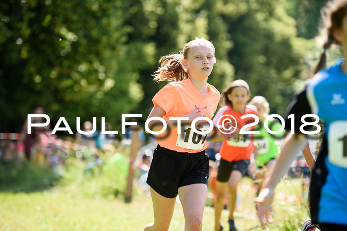 Baira Cross Lauf, 1. Sommercup SGW