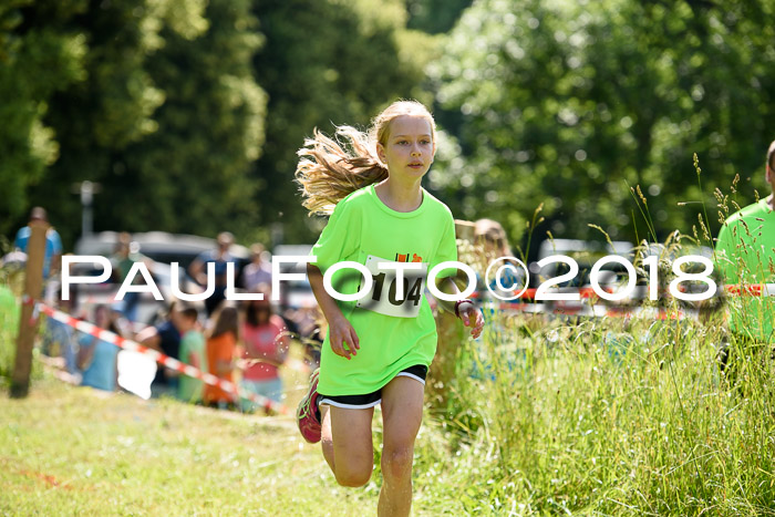 Baira Cross Lauf, 1. Sommercup SGW