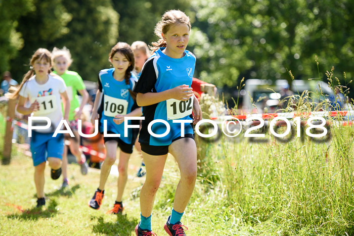 Baira Cross Lauf, 1. Sommercup SGW