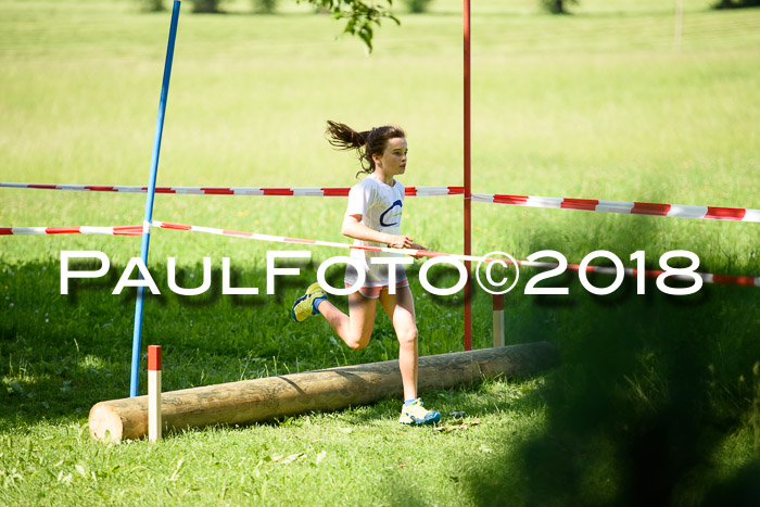 Baira Cross Lauf, 1. Sommercup SGW