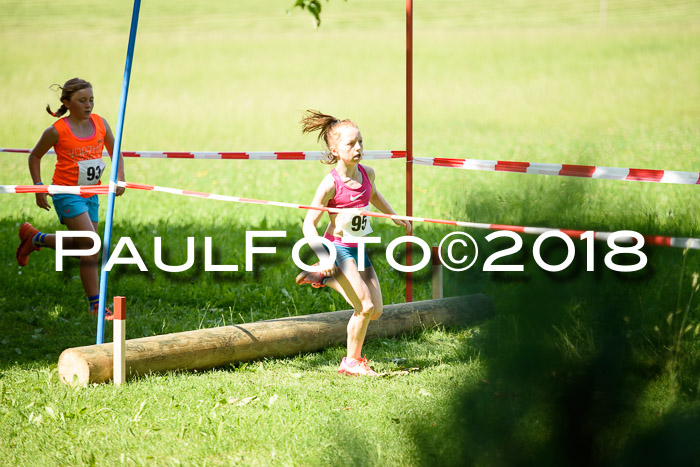 Baira Cross Lauf, 1. Sommercup SGW