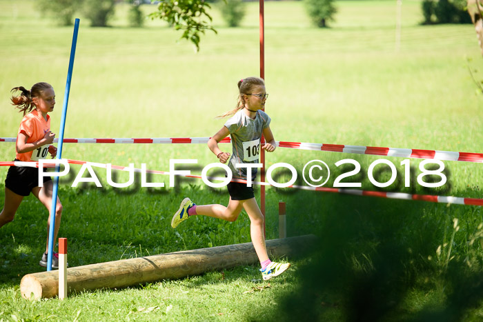 Baira Cross Lauf, 1. Sommercup SGW