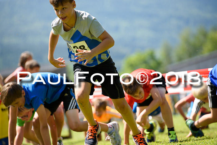Baira Cross Lauf, 1. Sommercup SGW