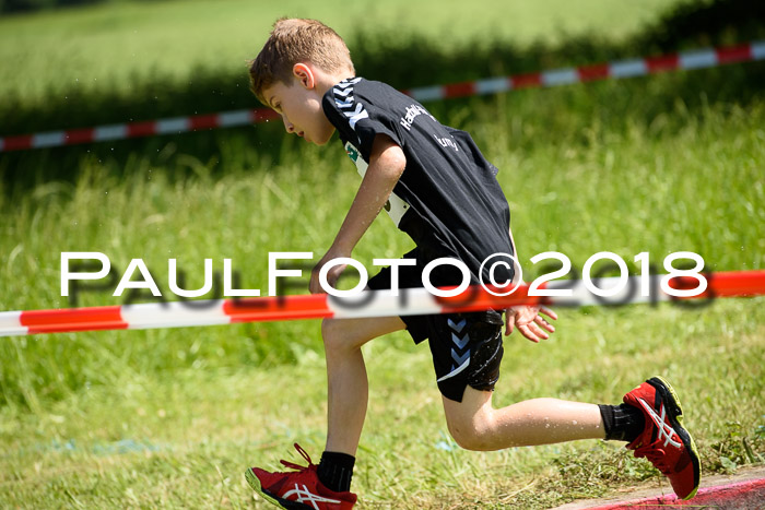Baira Cross Lauf, 1. Sommercup SGW