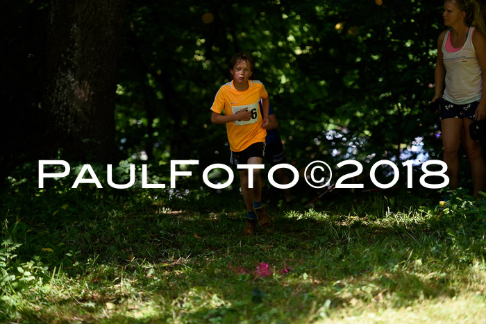 Baira Cross Lauf, 1. Sommercup SGW