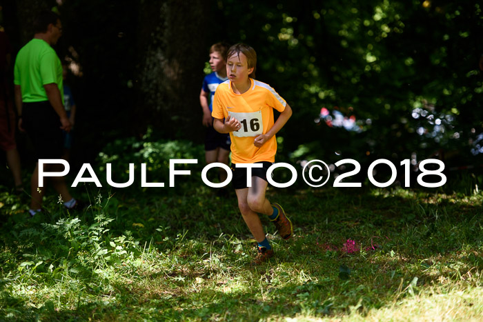 Baira Cross Lauf, 1. Sommercup SGW