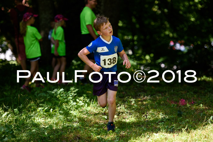 Baira Cross Lauf, 1. Sommercup SGW