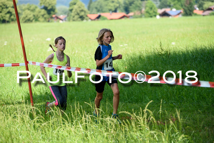 Baira Cross Lauf, 1. Sommercup SGW