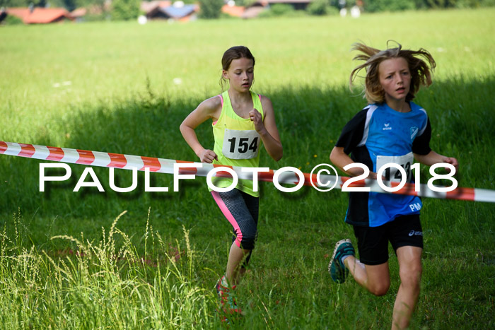 Baira Cross Lauf, 1. Sommercup SGW