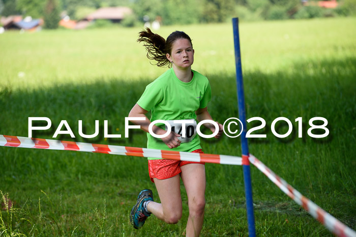 Baira Cross Lauf, 1. Sommercup SGW