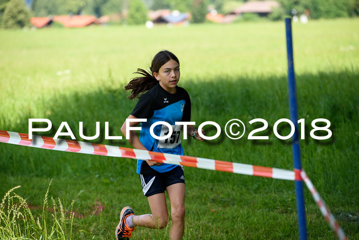 Baira Cross Lauf, 1. Sommercup SGW