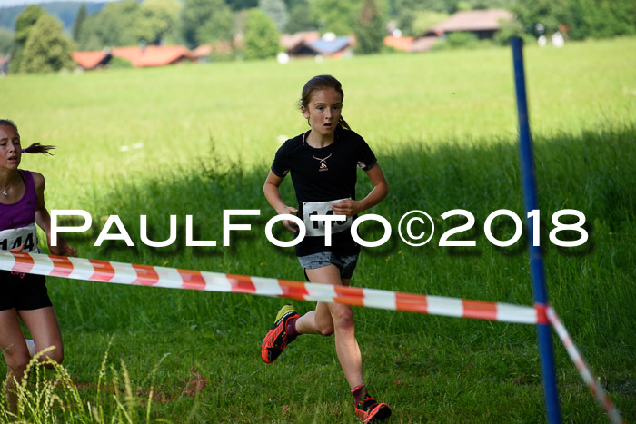 Baira Cross Lauf, 1. Sommercup SGW