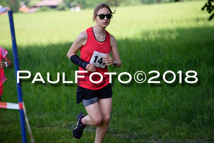 Baira Cross Lauf, 1. Sommercup SGW