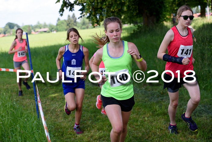 Baira Cross Lauf, 1. Sommercup SGW