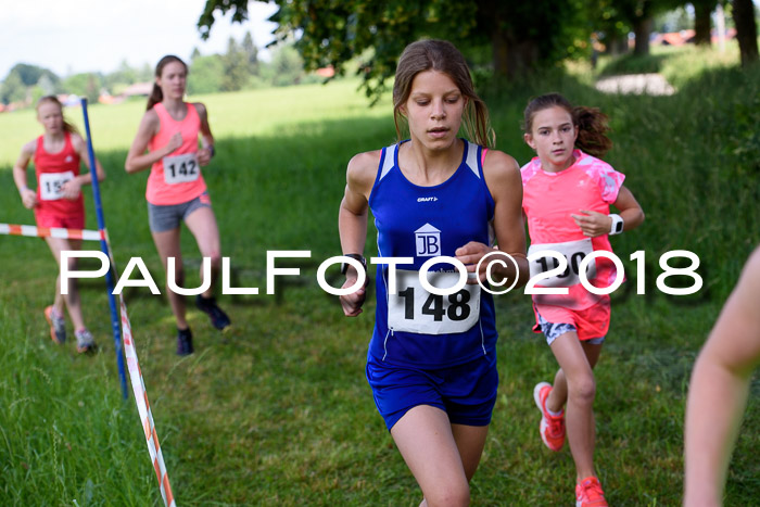 Baira Cross Lauf, 1. Sommercup SGW