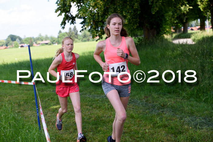 Baira Cross Lauf, 1. Sommercup SGW