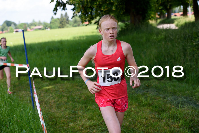 Baira Cross Lauf, 1. Sommercup SGW