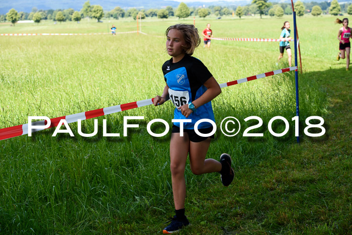 Baira Cross Lauf, 1. Sommercup SGW