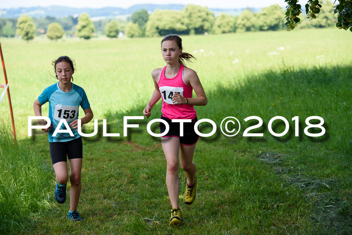 Baira Cross Lauf, 1. Sommercup SGW