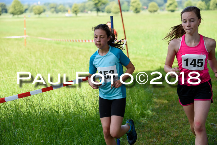 Baira Cross Lauf, 1. Sommercup SGW