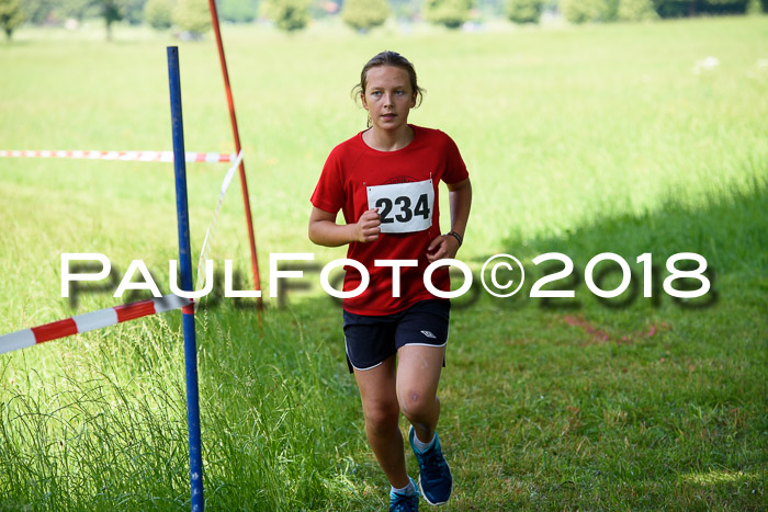 Baira Cross Lauf, 1. Sommercup SGW