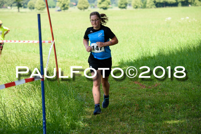 Baira Cross Lauf, 1. Sommercup SGW