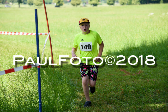 Baira Cross Lauf, 1. Sommercup SGW