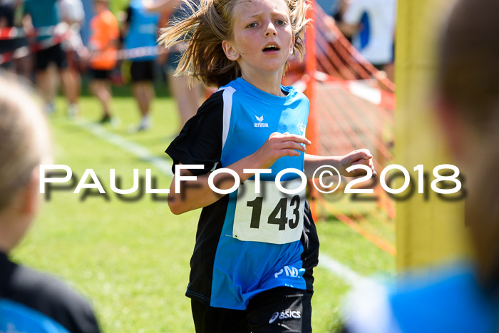 Baira Cross Lauf, 1. Sommercup SGW