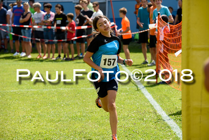Baira Cross Lauf, 1. Sommercup SGW